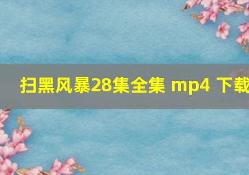 扫黑风暴28集全集 mp4 下载